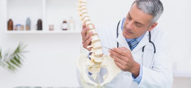 doctor pointing to spine