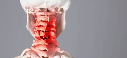 human spine with red neck