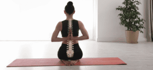 spinal stenosis exercises