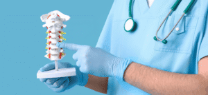 doctor demonstrating spinal anatomy