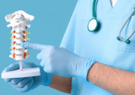 doctor demonstrating spinal anatomy