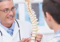 doctor showing a spine to patient