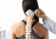 spinal model plastic on back spinal model in plastic